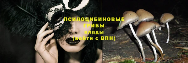 прущие крисы Армянск