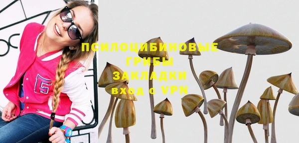 2c-b Арсеньев