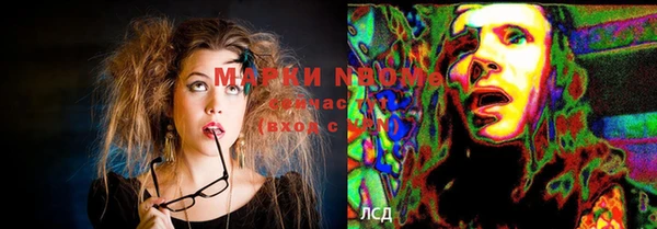 стафф Аркадак