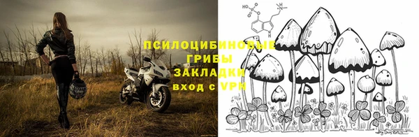 прущие крисы Армянск