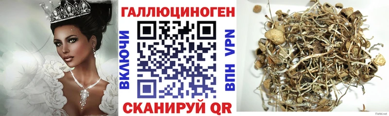 Галлюциногенные грибы прущие грибы  где купить наркотик  Камбарка 